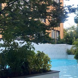 Aaa234 profile image