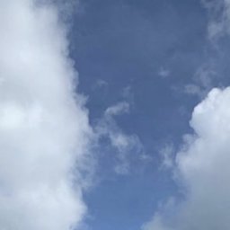 Cappmoo profile image