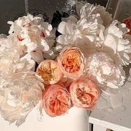 Celine168 profile image