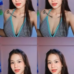 Fernnatkamon profile