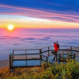 Finale profile image