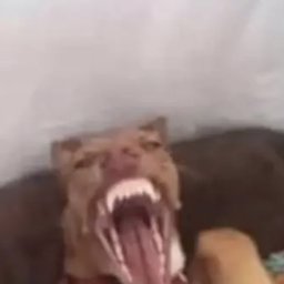 Gs8888 profile image