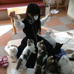 Jantitaaa profile image