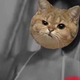 Kaelyn profile image