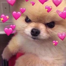 Kkaowfang profile image