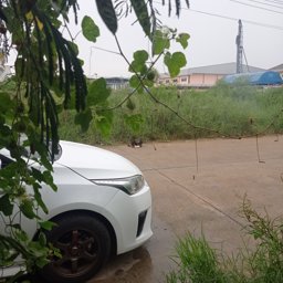 Kkungking profile image