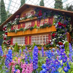 Kongtong8228 profile image