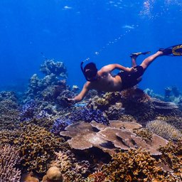 Koochai profile image