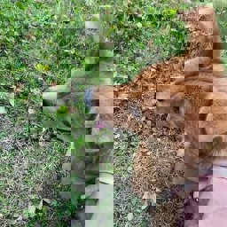 Linnada24 profile image