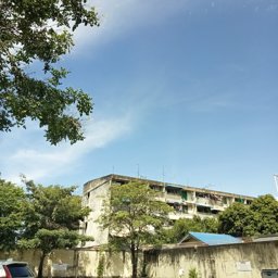 Mmilano profile image