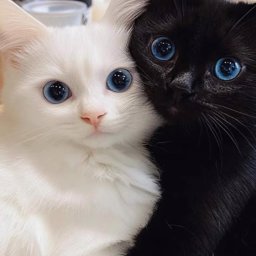 Nadai00 profile image