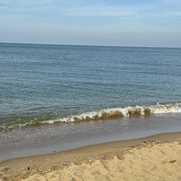 Nongfuji profile image