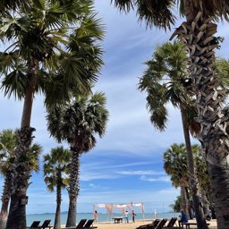 Noopink profile image