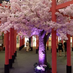 Numbangkae007 profile image