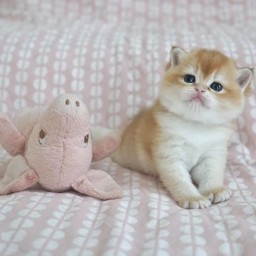 Onestup profile image