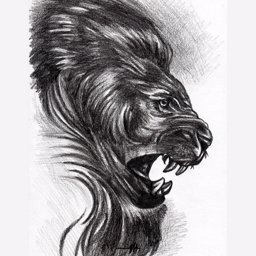 PYYINGINROOM profile