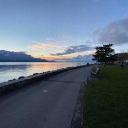 Porsche911 profile image