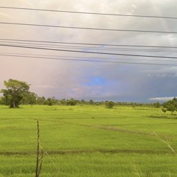 Somnuekk profile image