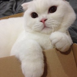 Tawan88 profile image