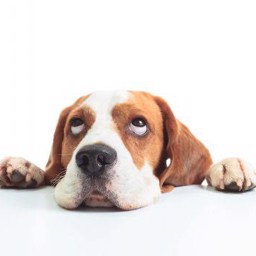 Thirada44 profile image