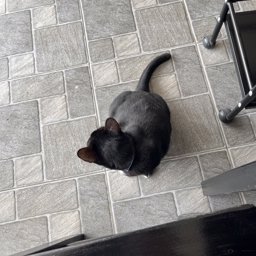 Tufu89 profile image