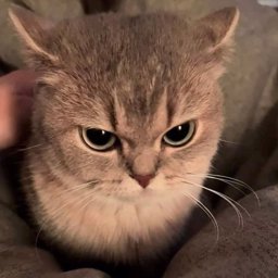 Varevare profile image