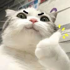 Whatever9 profile image