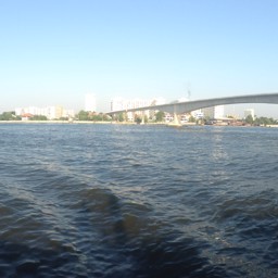 Witchaya6511 profile image