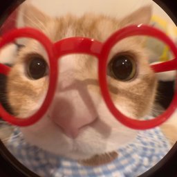 babaybu profile image