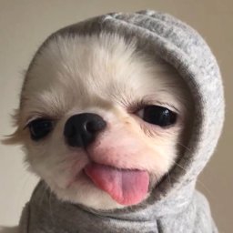 babymoji profile image