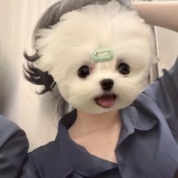 cinnamonroll profile image