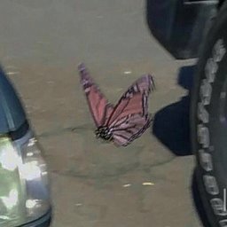 cxtecxte profile image