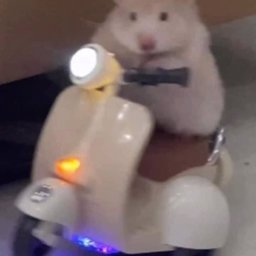 diaenaa profile image