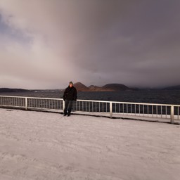 dinsors profile image