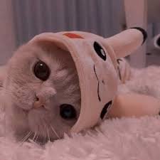 falafearz profile image