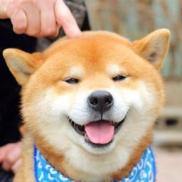 iam_num profile image