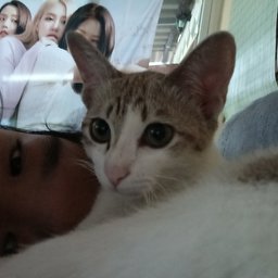 liyang profile image