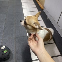 mepooh profile image