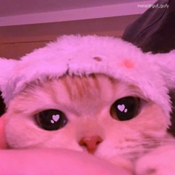 minofbs profile image