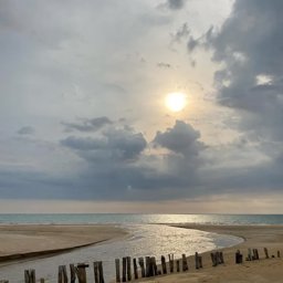 mmena123123321 profile image