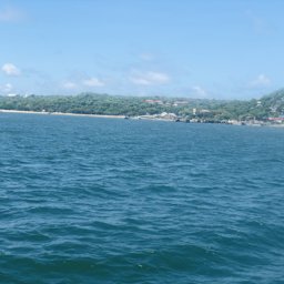 naappa profile image