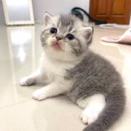 nam1212 profile image