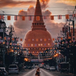 paradeen profile image