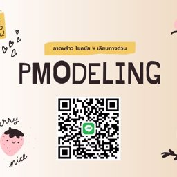 pmodeling Icon