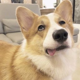 pprae468 profile image