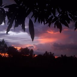 preaw_p profile image