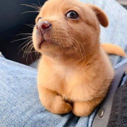 zenzen666 profile image