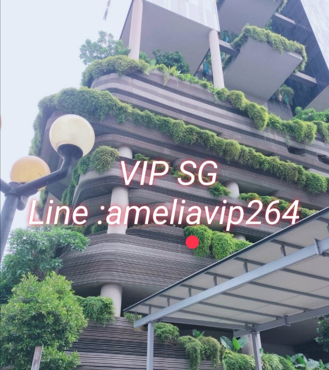 Ameliavip264 VIP SG สิงคโปร์​+++ งานเงิน​เที่ยว​ครบ​จบ​ที่​เดียว​งานดีเงินด่วน, งานตรงวีไอพีไฮเอนด์​ของแท้ไม่จกตา