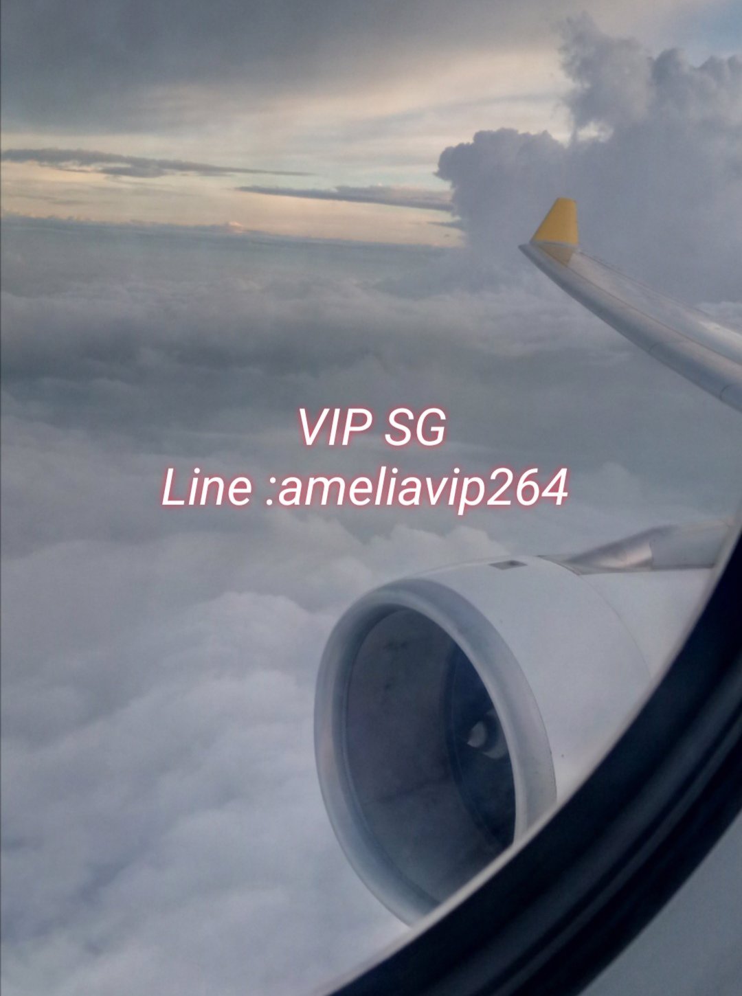 งาน​วีไอพี​ต่างประเทศ​สิงคโปร์​+++ทั่วโลก​ กับ​ ameliavip264 🇸🇬🇲🇾🇯🇵🇰🇷🇹🇷🇨🇦🇬🇧🇦🇺 