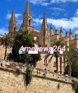 Amelia VIP ต่างประเทศ​ทั่วโลก​ 